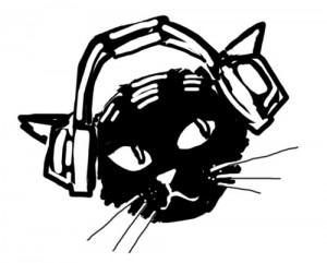 DIY cat